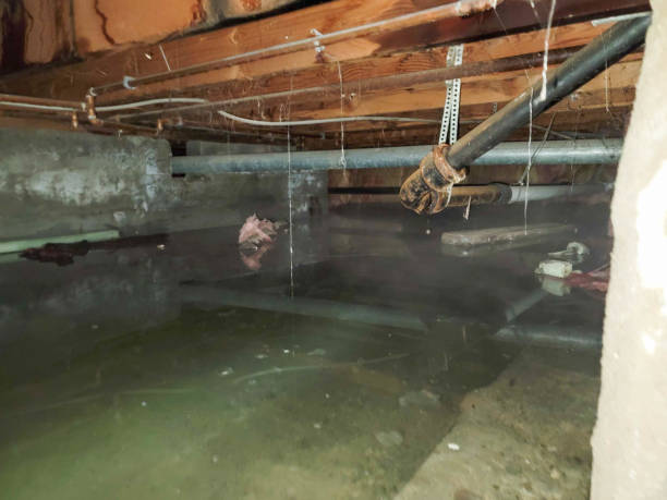 Best Water damage repair service  in Hurstbourne, KY