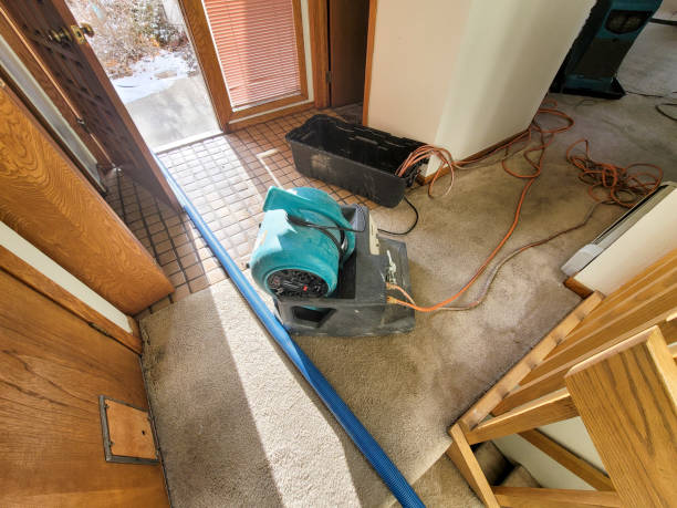 Best 24-hour water damage restoration  in Hurstbourne, KY