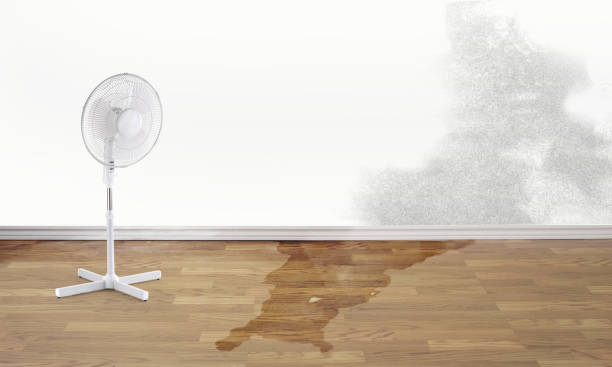 Best 24-hour water damage restoration  in Hurstbourne, KY
