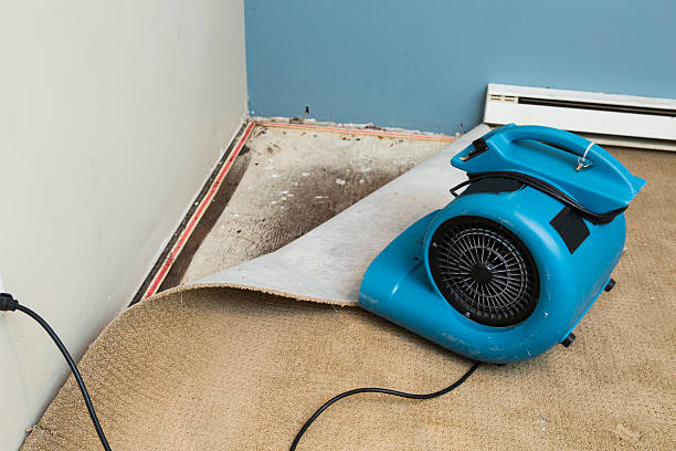 Best Sewage cleanup and water damage restoration  in Hurstbourne, KY
